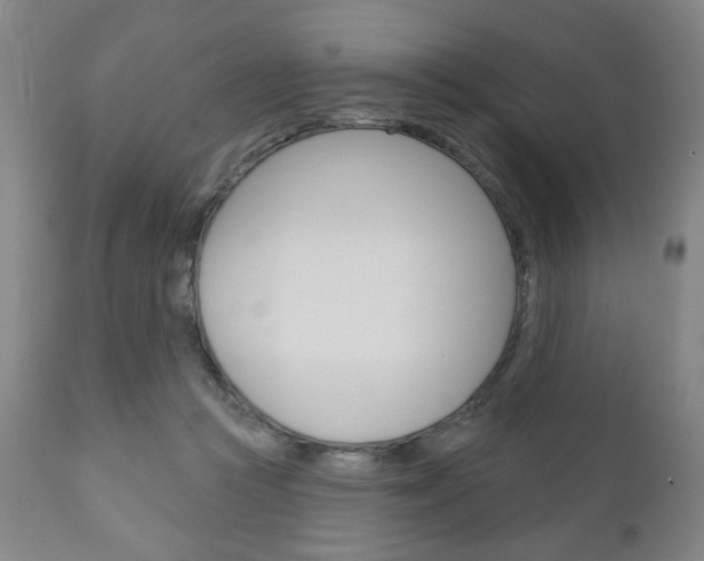 X0000111170361200907011014