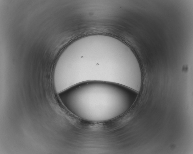 X0000111170362200907011014