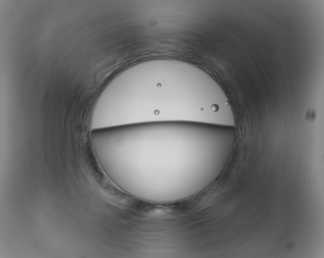 X0000111170364200907011014