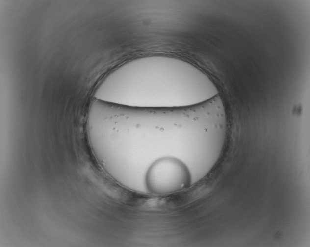 X0000111170366200907011014