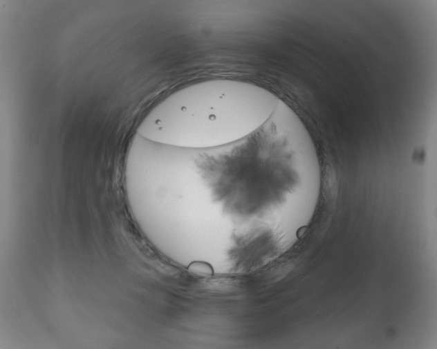 X0000111170367200907011014