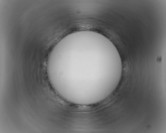 X0000111170369200907011014