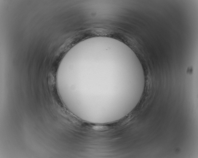 X0000111170371200907011014