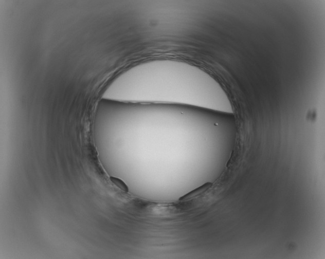 X0000111170372200907011014