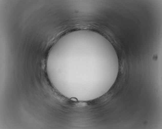 X0000111170374200907011014