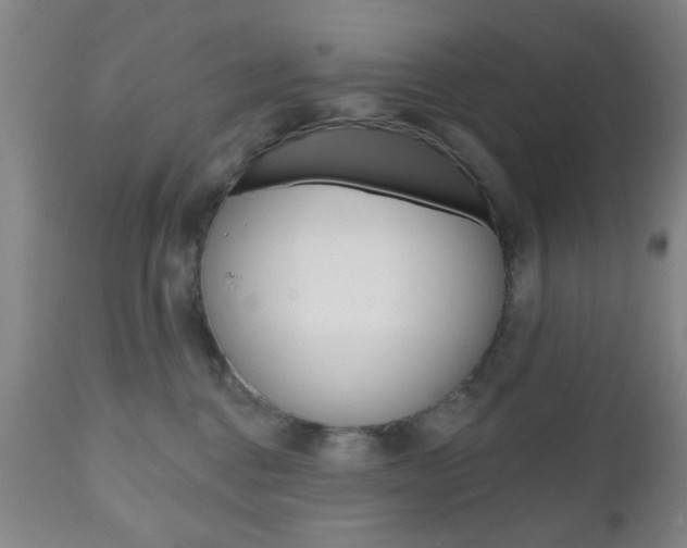 X0000111170376200907011014