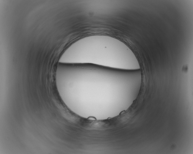 X0000111170379200907011014