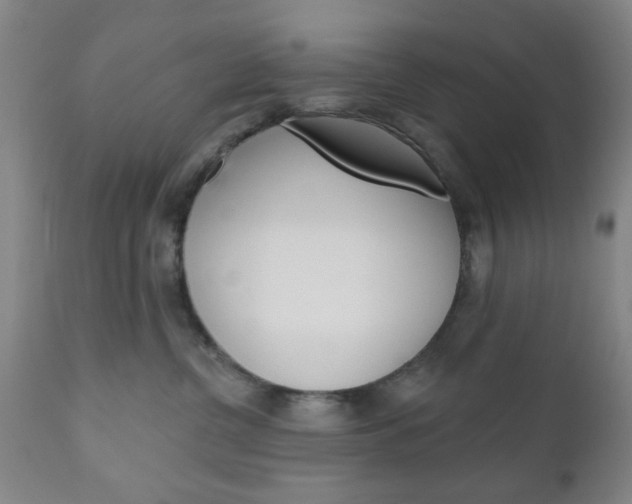 X0000111170380200907011014