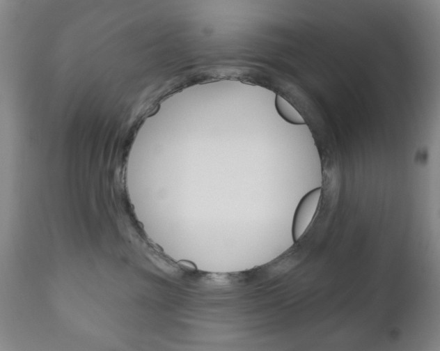 X0000111170381200907011014