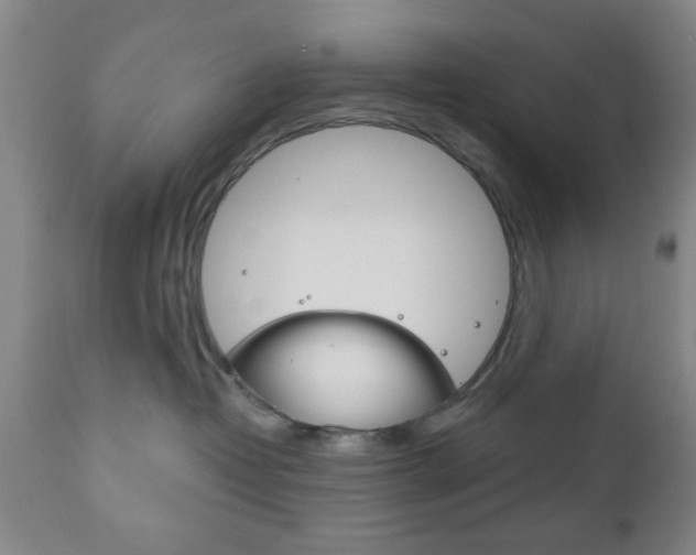 X0000111170382200907011014