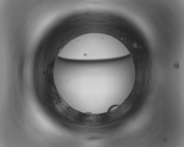 X0000111170383200907011014