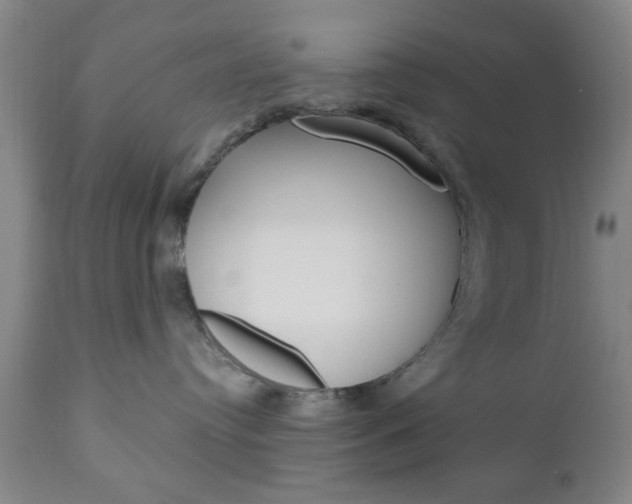 X0000111170384200907011014