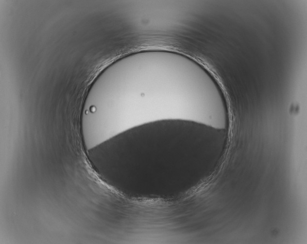 X0000111170385200907011013