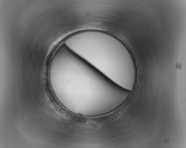 X0000111170388200907011013