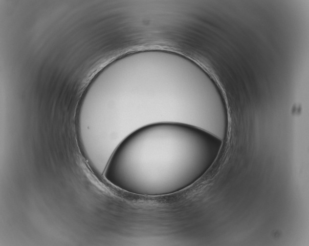 X0000111170389200907011013