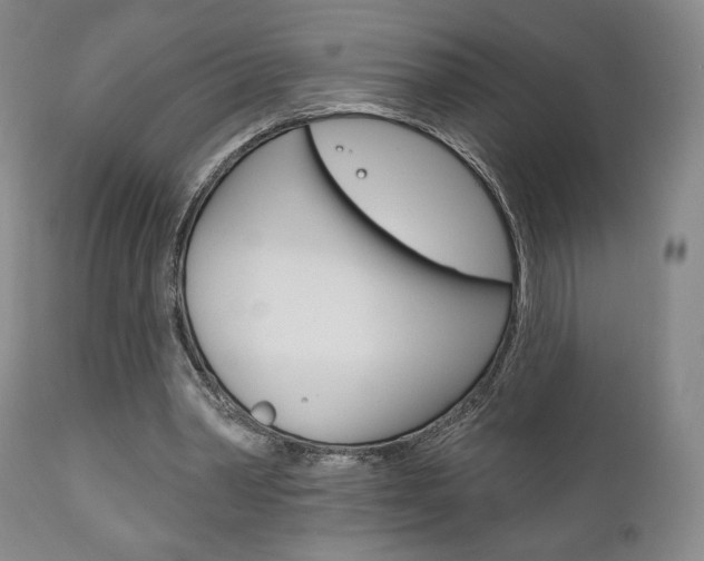 X0000111170390200907011013