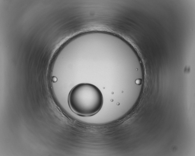 X0000111170391200907011013