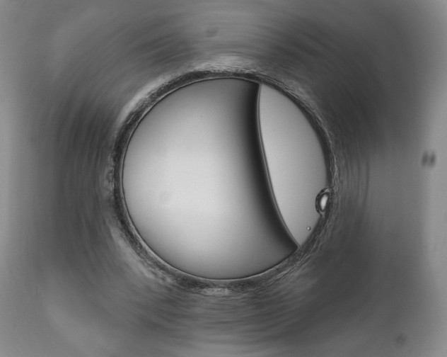 X0000111170392200907011013