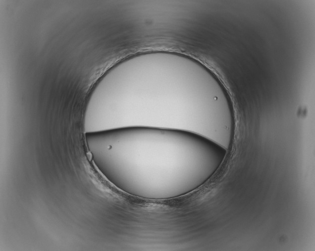 X0000111170393200907011013