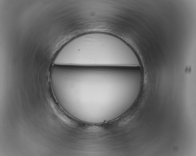 X0000111170397200907011013