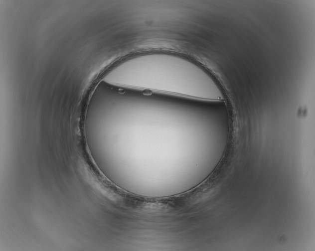 X0000111170399200907011013
