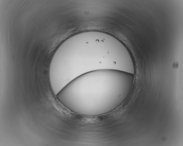 X0000111170401200907011013