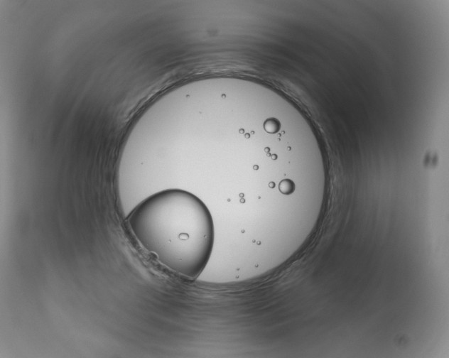 X0000111170405200907011013