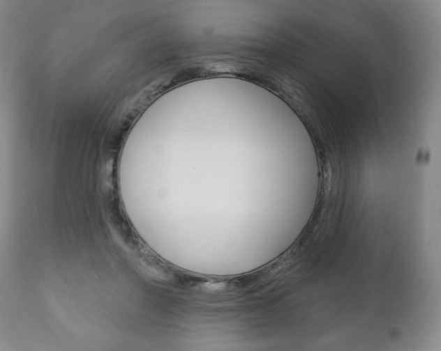 X0000111170406200907011013