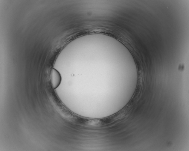 X0000111170410200907011013