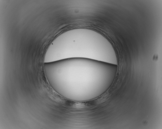 X0000111170413200907011013