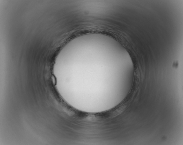 X0000111170416200907011013