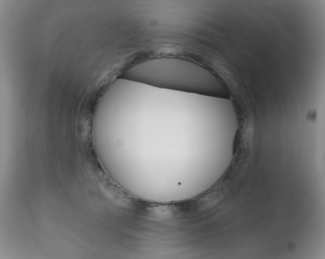 X0000111170417200907011013