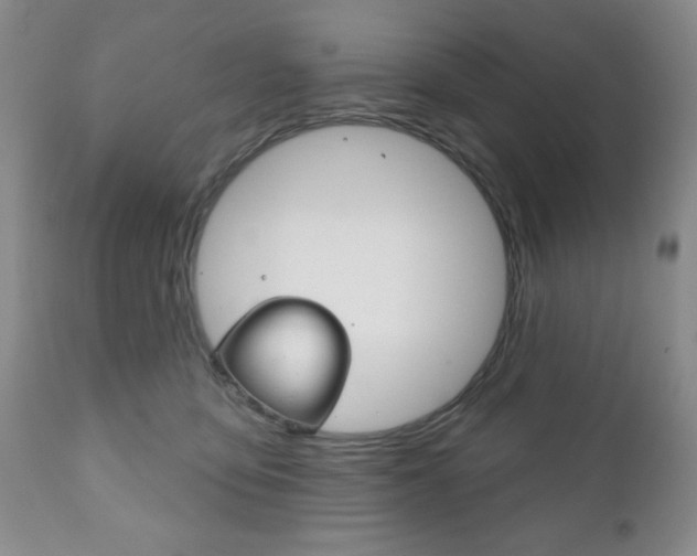 X0000111170419200907011012