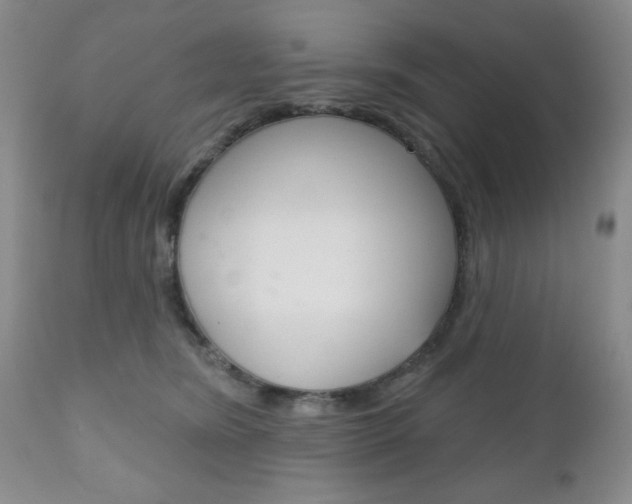 X0000111170420200907011012