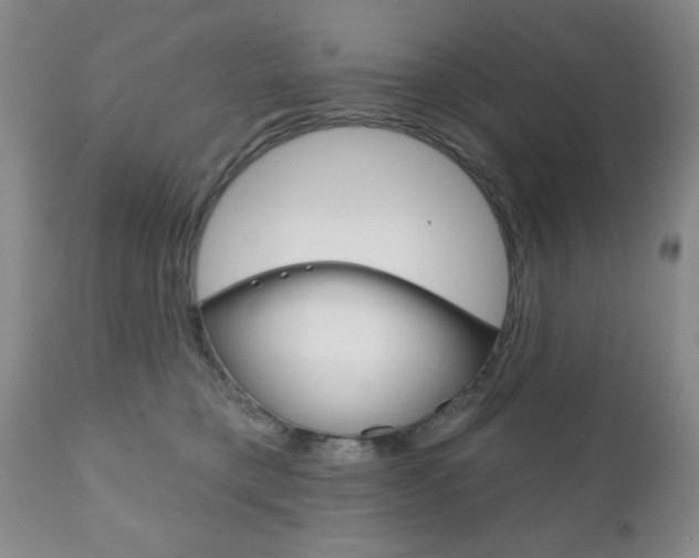X0000111170421200907011012