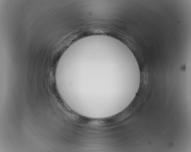 X0000111170422200907011012