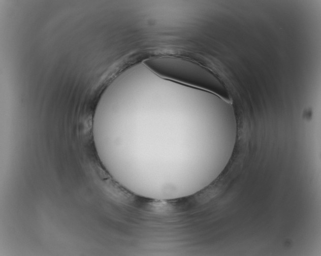 X0000111170425200907011012