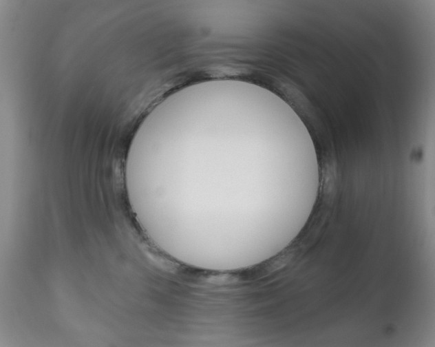 X0000111170426200907011012