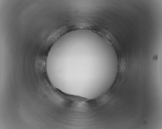 X0000111170427200907011012