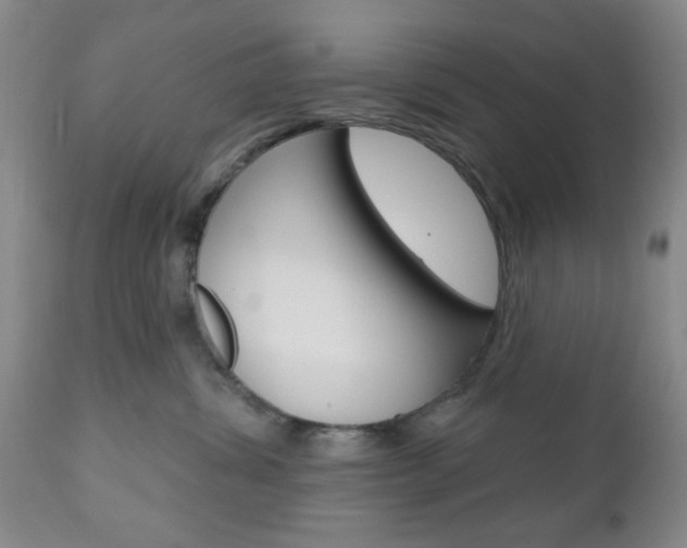 X0000111170428200907011012