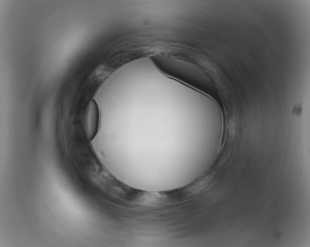 X0000111170429200907011012