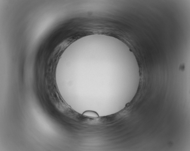 X0000111170430200907011012