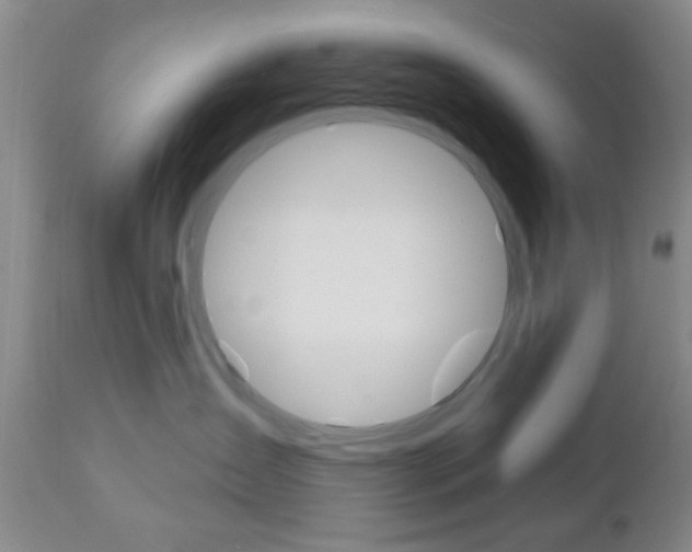 X0000111170431200907011012