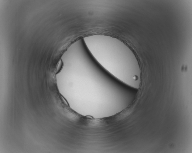 X0000111170432200907011012