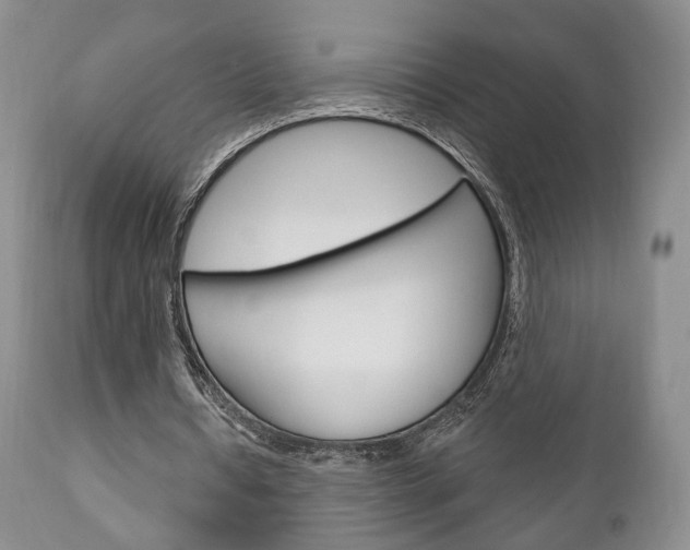 X0000111170434200907011012