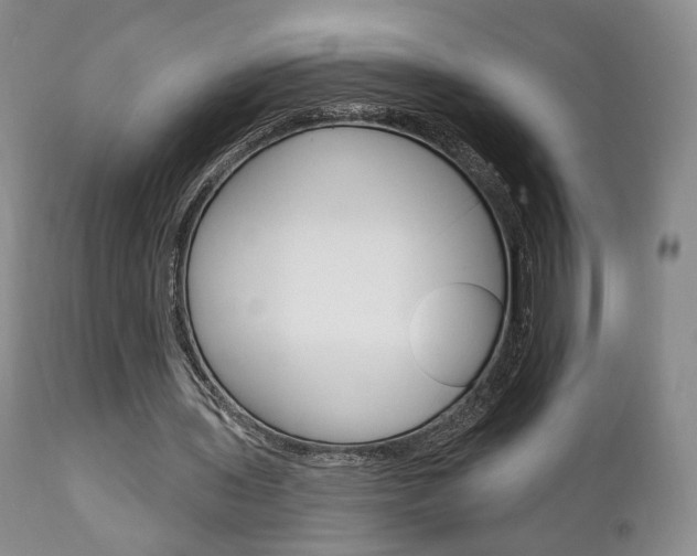 X0000111170435200907011012