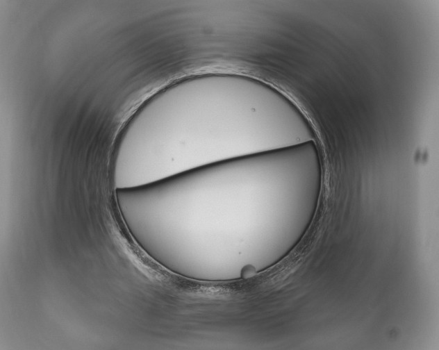 X0000111170437200907011012