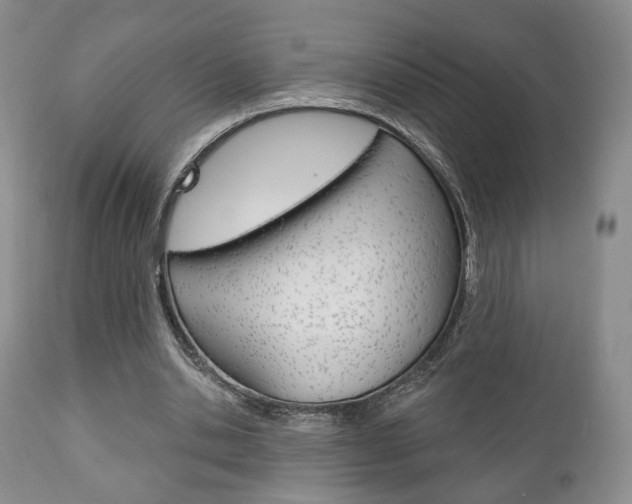 X0000111170438200907011012