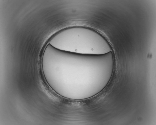 X0000111170439200907011012