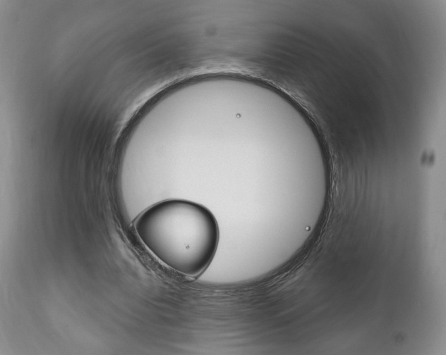 X0000111170440200907011012
